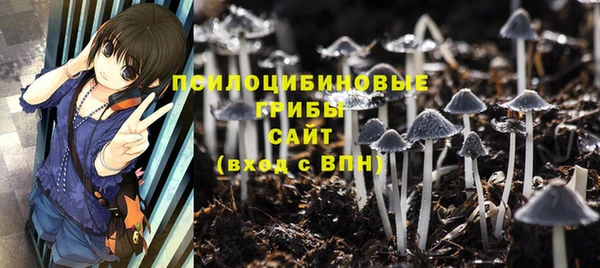 гидропоника Алзамай