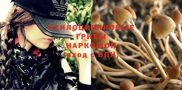 кокаин Алексин
