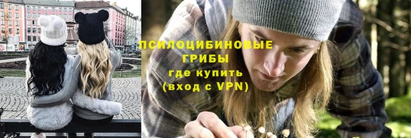 гидропоника Алзамай