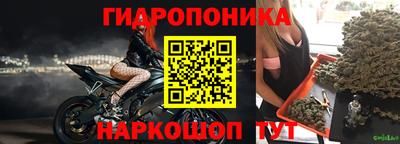 индика Пушкино