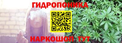 индика Пушкино