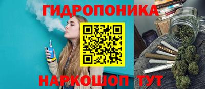 индика Пушкино