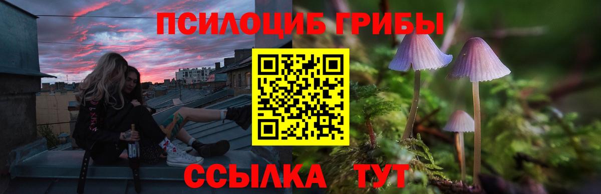 Галлюциногенные грибы мицелий Тосно
