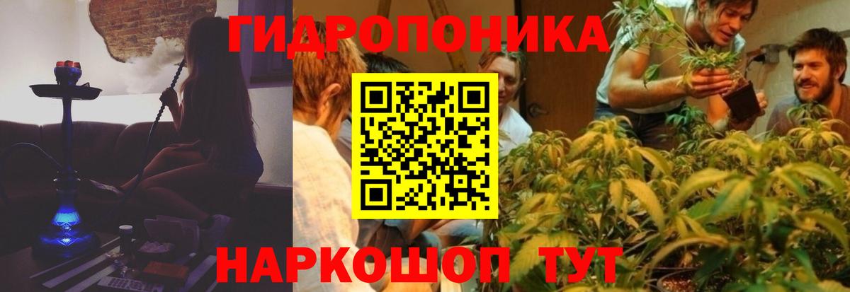 Шишки марихуана сатива  Бошки марихуана план  Вход с VPN  Каннабис конопля  Тосно  Бошки Шишки сатива 